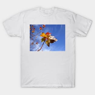 Bright Fall Leave's up in the Blue Sky T-Shirt